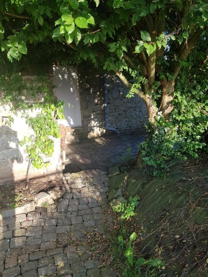 Elevage De La Hurie Saint-Nicolas-de-Pierrepont Екстериор снимка